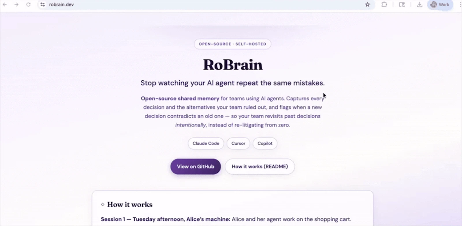RoBrain screenshot 1 (video preview)