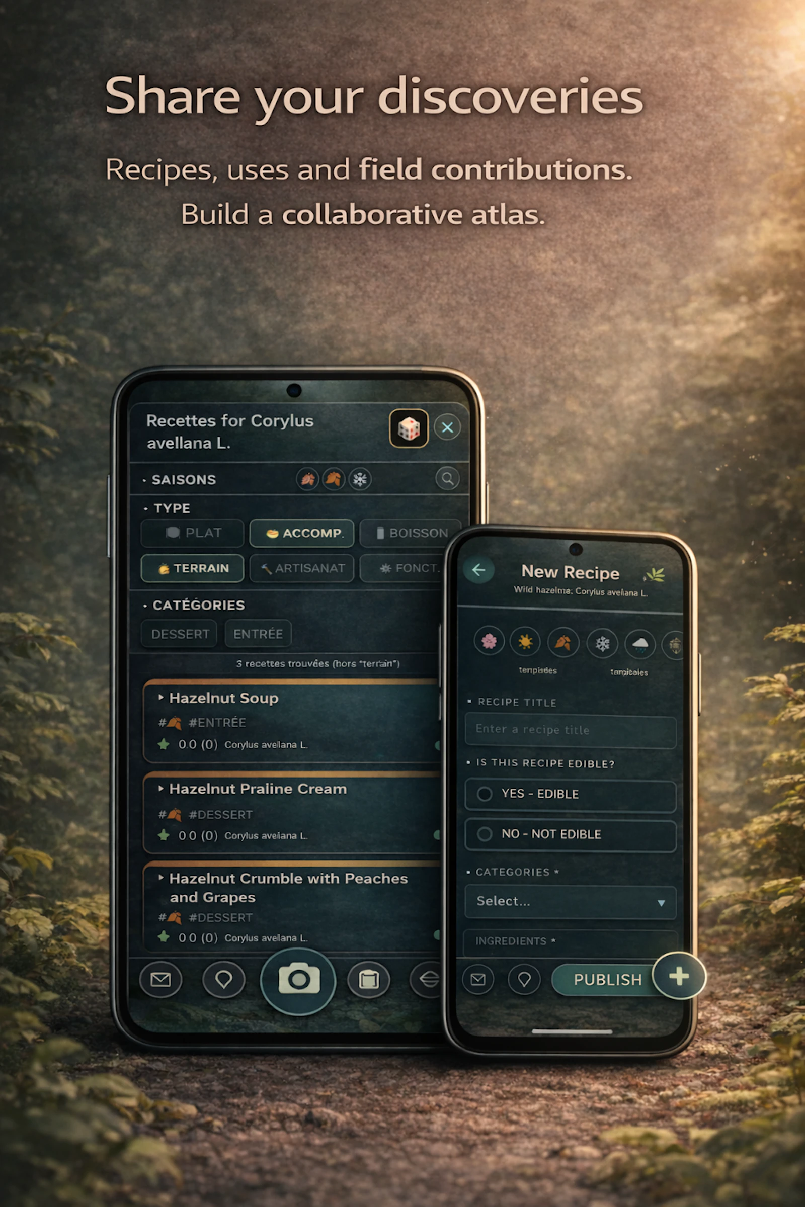Druidz screenshot 8