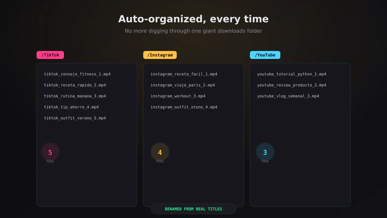 All-in-One Social Downloader product