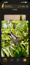 BananaBomb gallery image