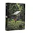 Cabin Porn Book