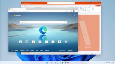 Windows 11 gallery image
