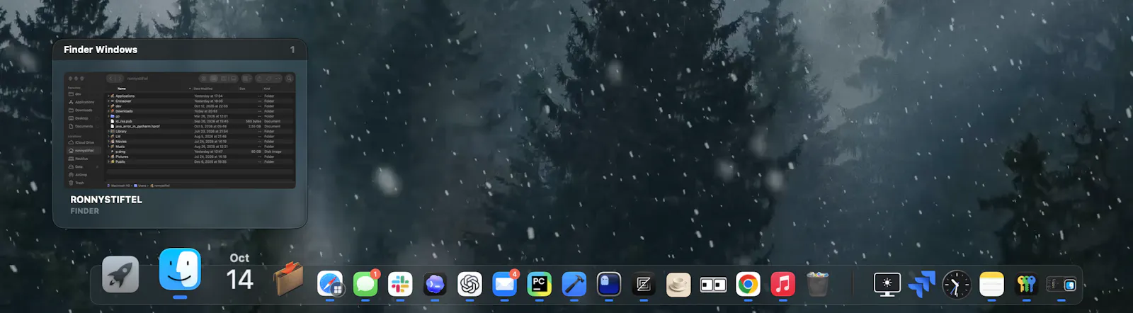 Docktopus screenshot 2