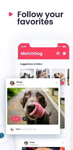 Matchdog gallery image