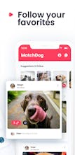 Matchdog gallery image