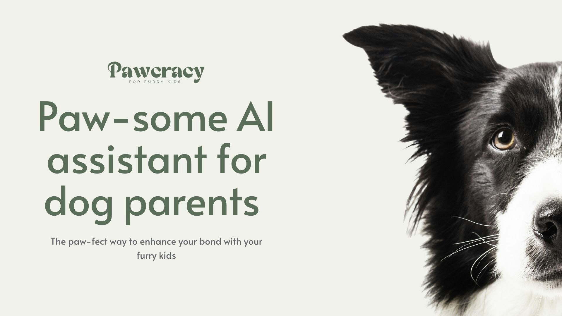 Pawcracy - Der KI beste Freund für Ihr pelziges Kind Medien 2