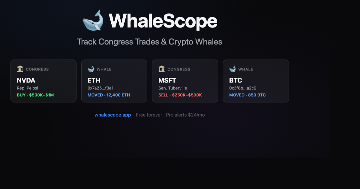 WhaleScope - Main product screenshot demonstrating key features and user interface