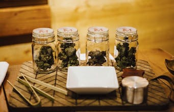 Big Canna World gallery image