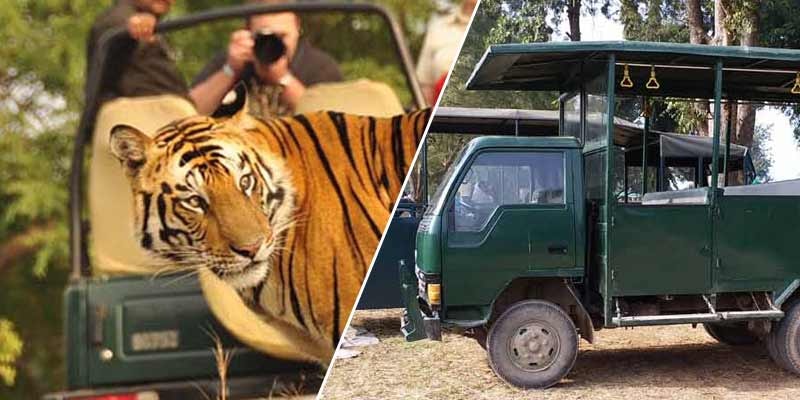 Corbett Jeep Safari gallery image