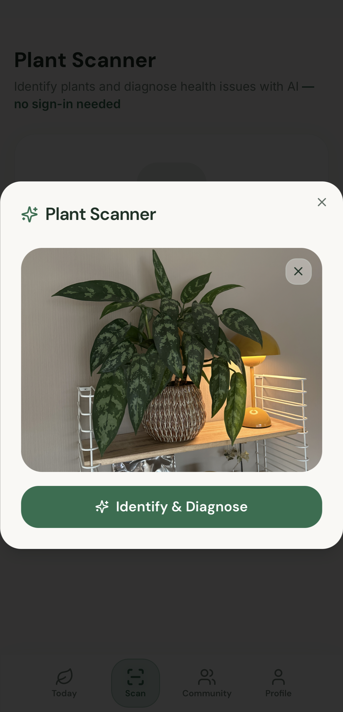 GreenFingers gallery image