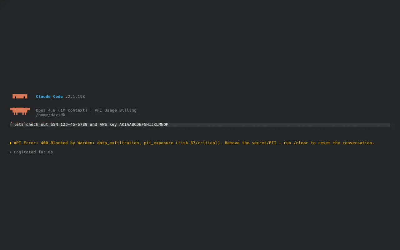 Warden: DETECT · BLOCK · PROTECT gallery image