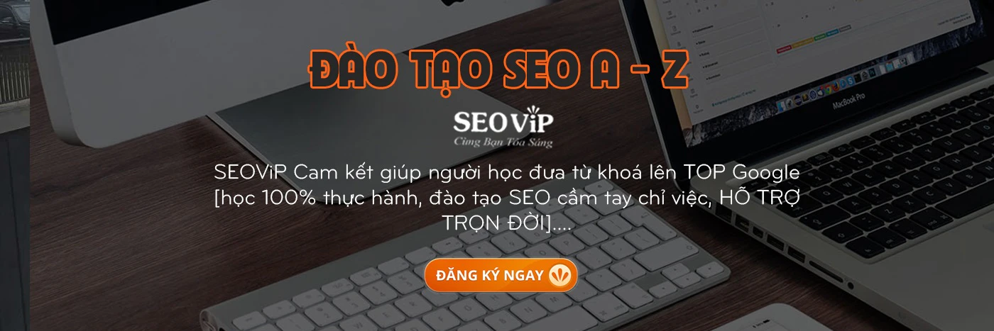 SEO Đà Nẵng cover