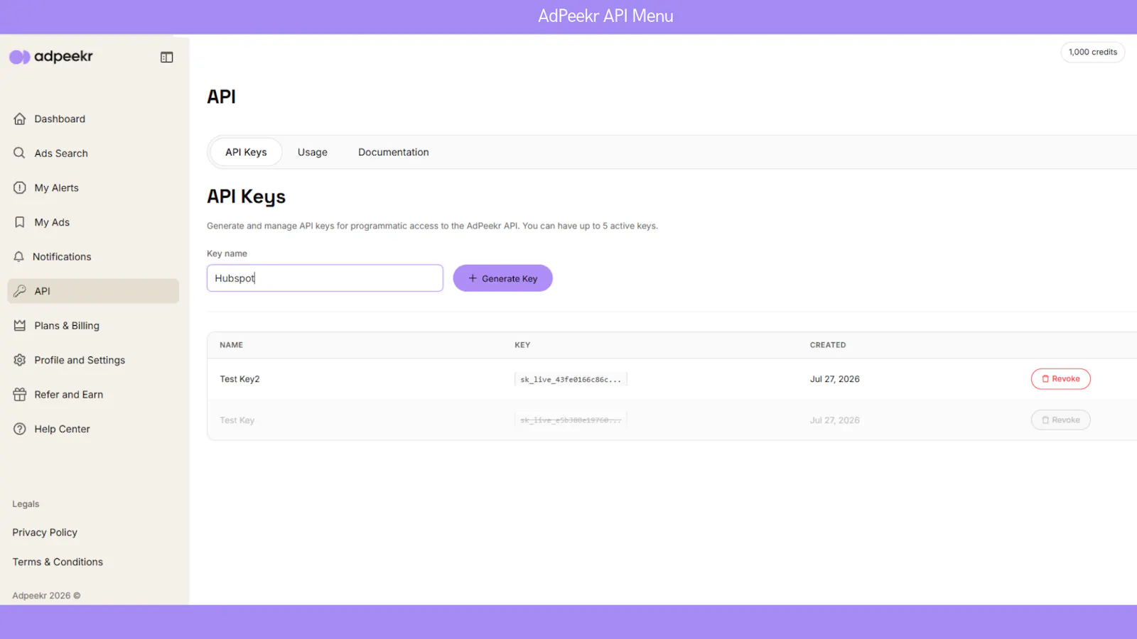 AdPeekr - API screenshot 3
