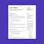 Perfect Resume for Tech Jobs Template