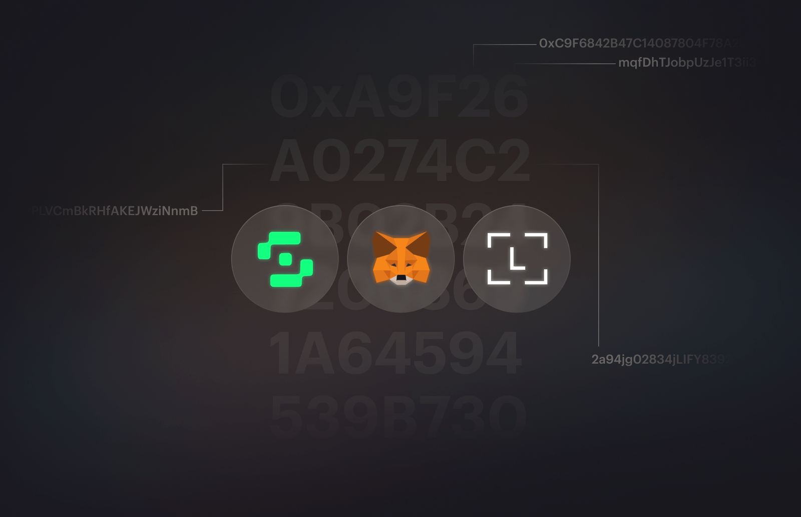 78ebad68-ba56-496d-aeb2-78c12fdb3604.png