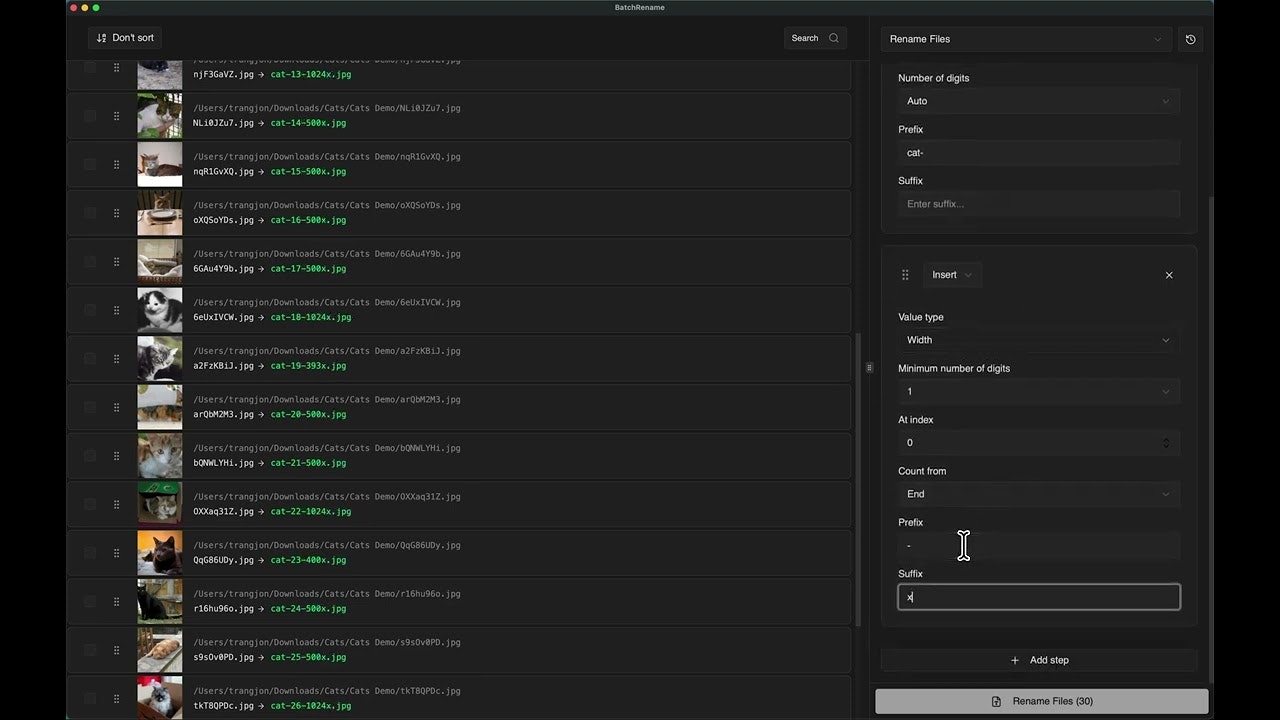 BatchRename gallery image