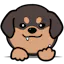 AI Answer Generator