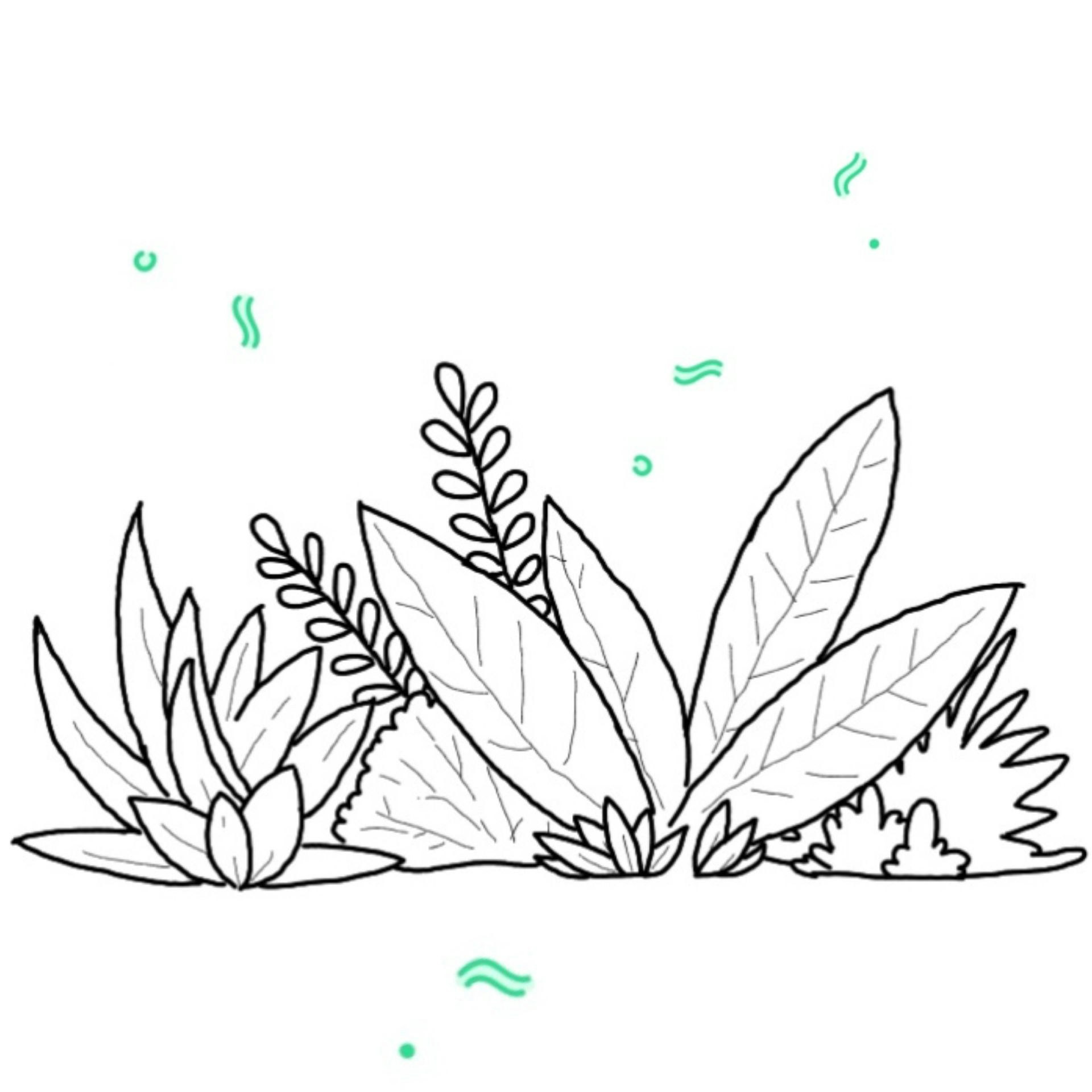 Your Social Media Footprint gallery image