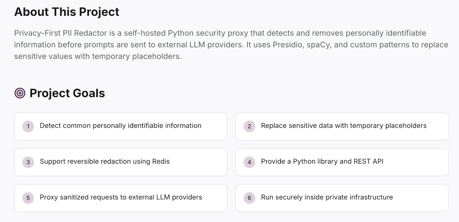 Python PII Redactor screenshot 2