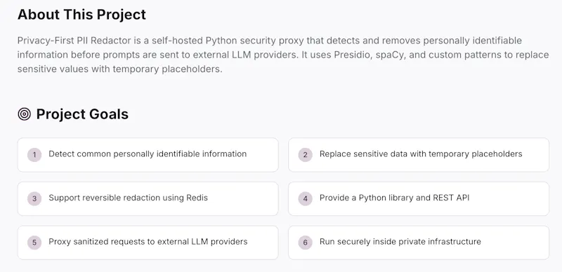 Python PII Redactor screenshot 2