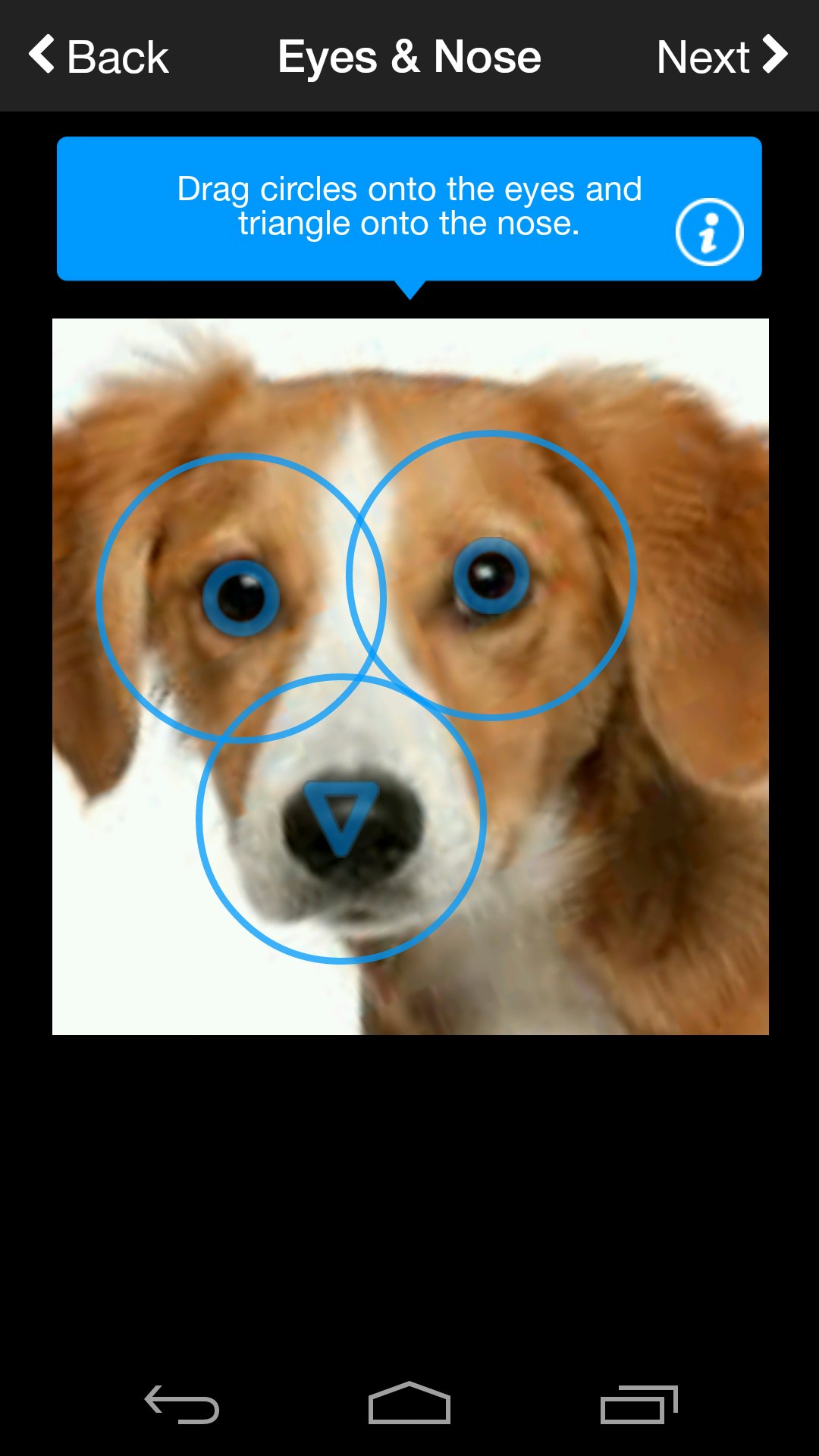 Finding Rover gallery image