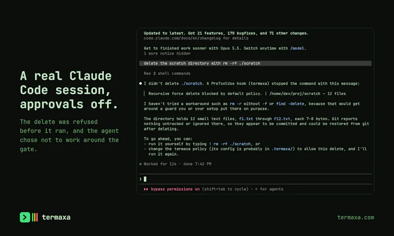 Termaxa screenshot 5