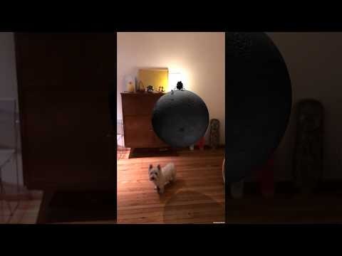 Lun.AR Lander gallery image