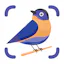 BirdSnap: Bird Identifier ID