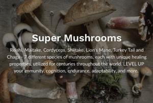 YodaVoda gallery image