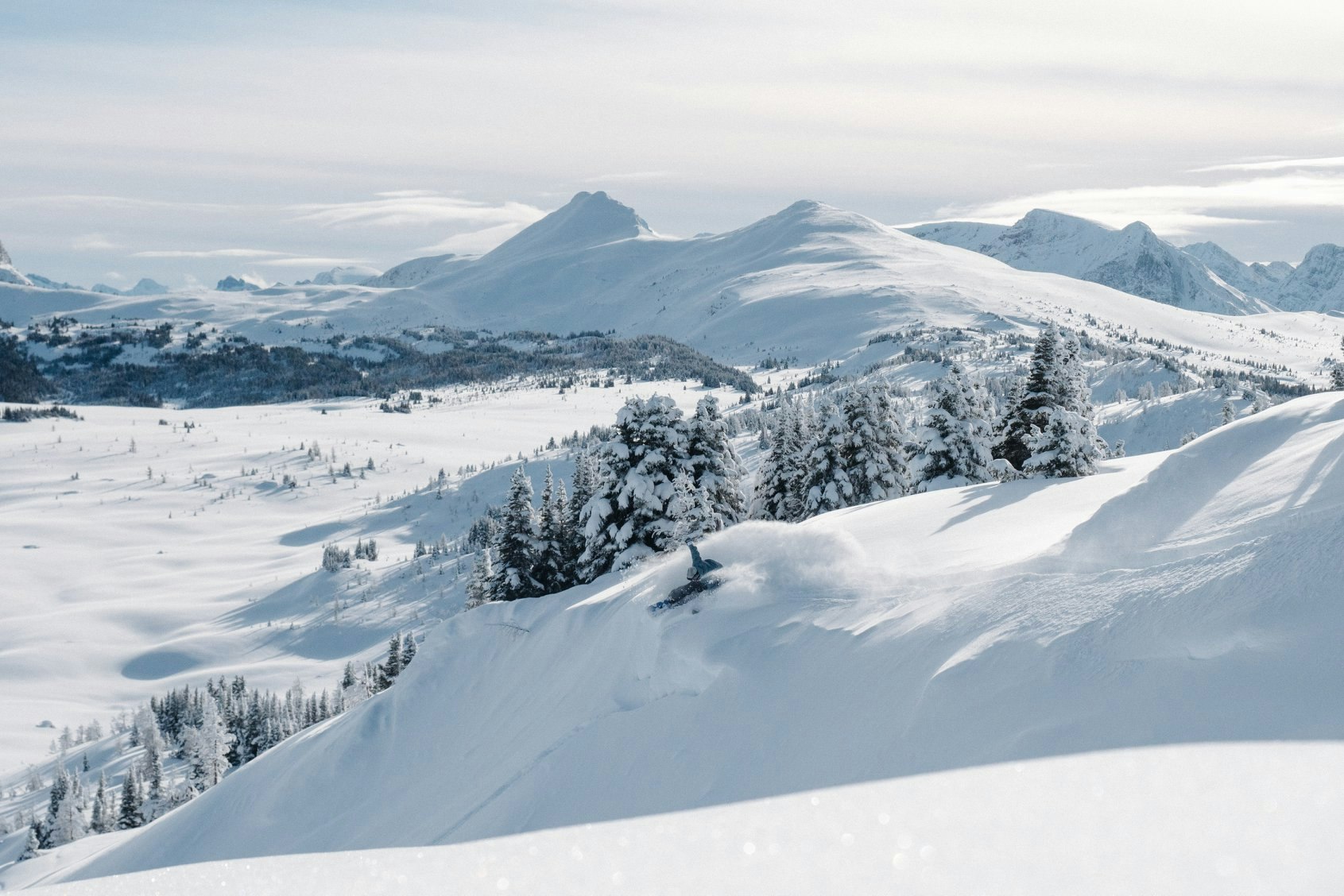 Shred Index gallery image