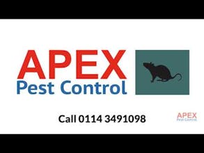 Apex Pest Control Experts Website gallery image