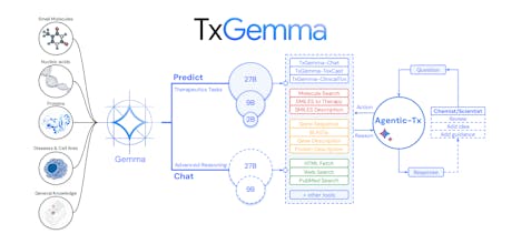 TxGemma gallery image