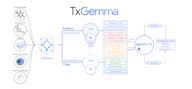 TxGemma