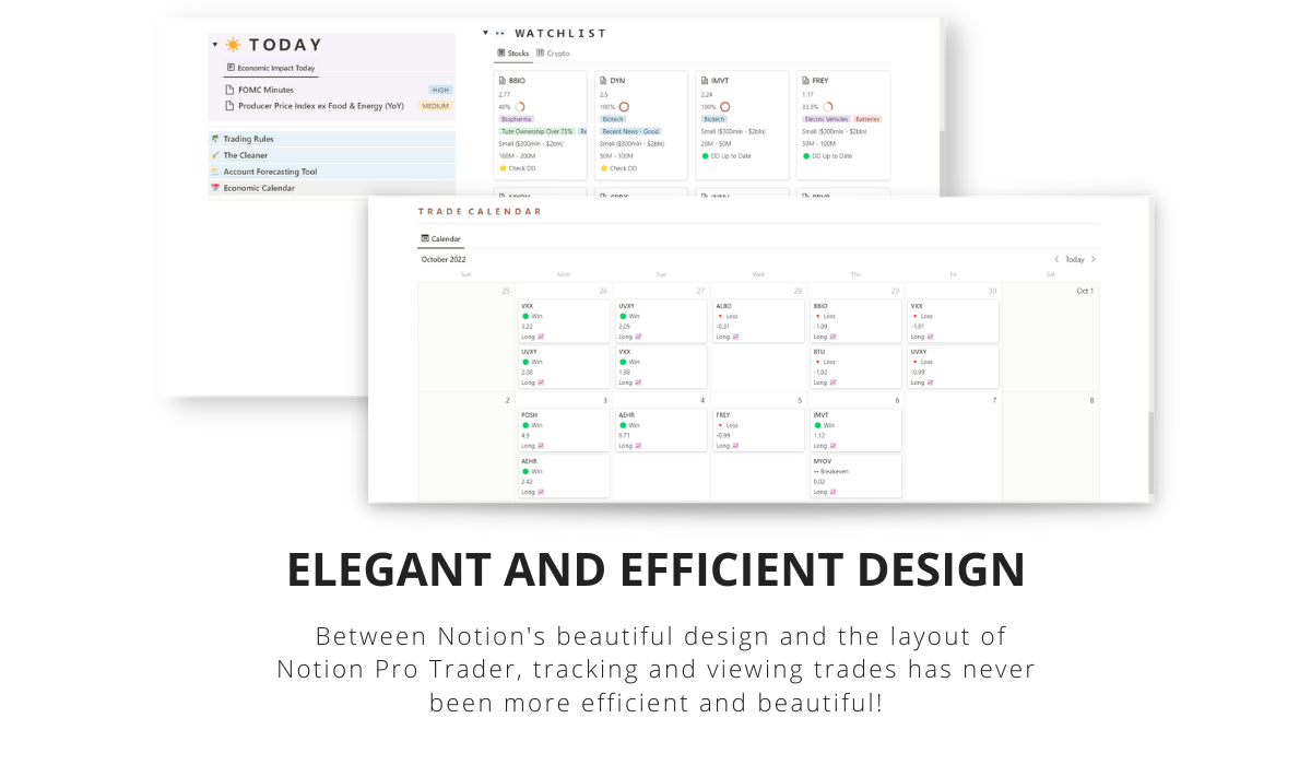 Notion Pro Trader media 6