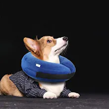 Bubble Collar gallery image