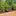 Haut Potager Kitchen Garden