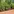 Haut Potager Kitchen Garden