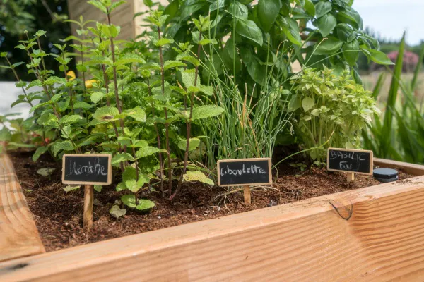 Haut Potager Kitchen Garden
