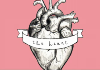 Transcriptions of top Podcasts