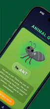 Wild Evolution gallery image