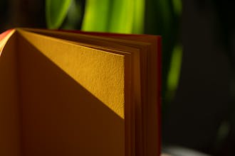 Weird Looks Notebooks gallery image