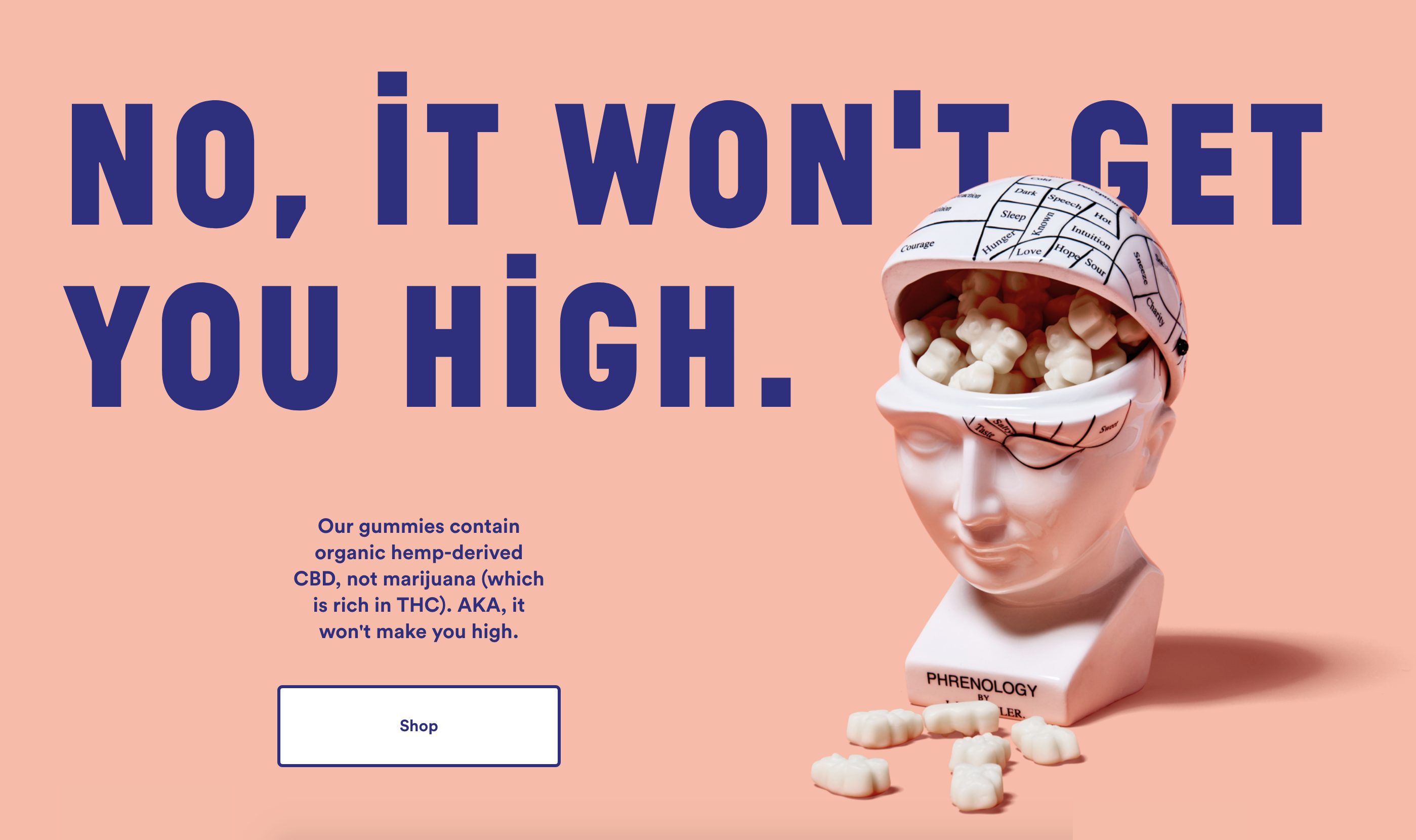 Not Pot gallery image