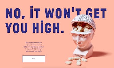 Not Pot gallery image