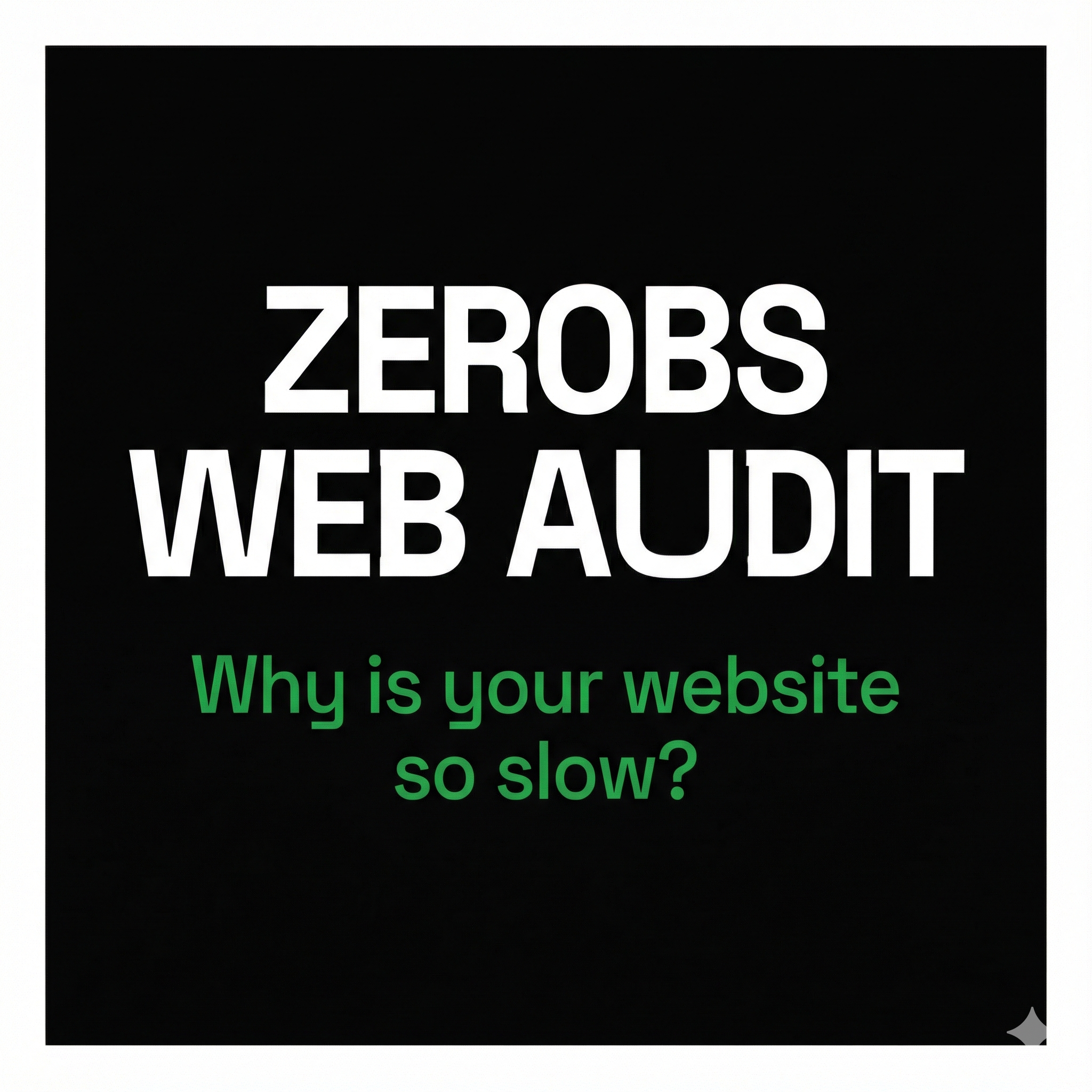 ZeroBS Web Audit