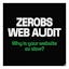 ZeroBS Web Audit