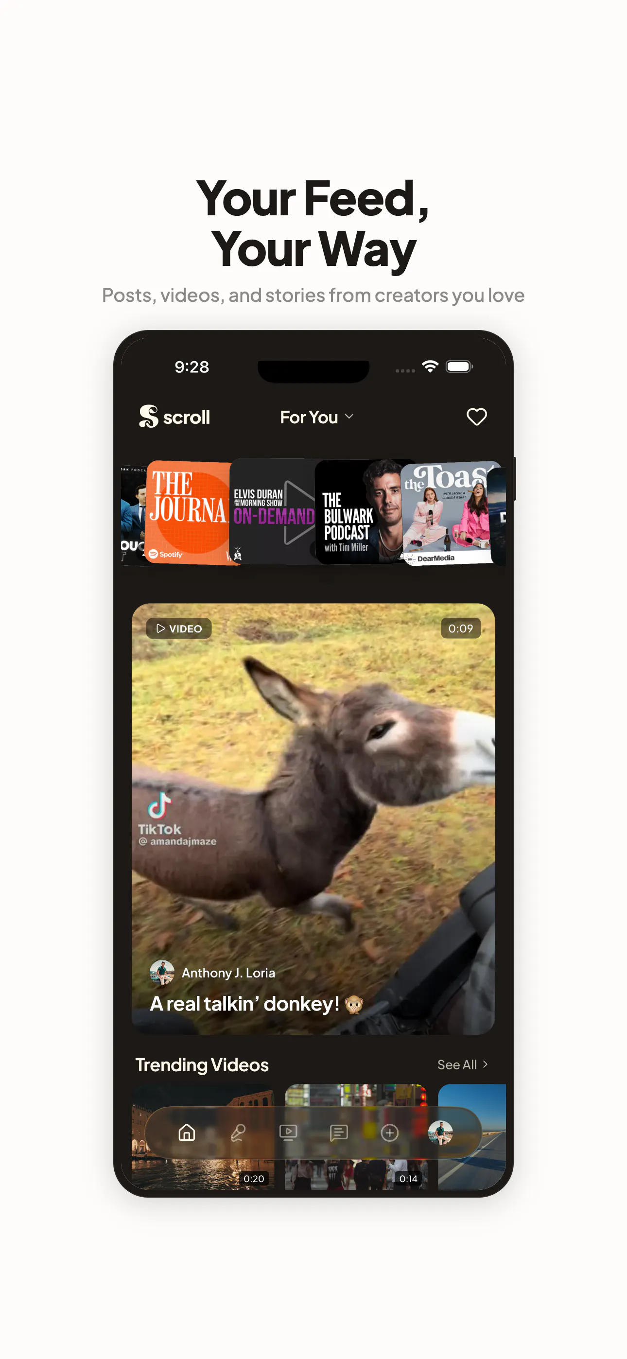 Scroll gallery image