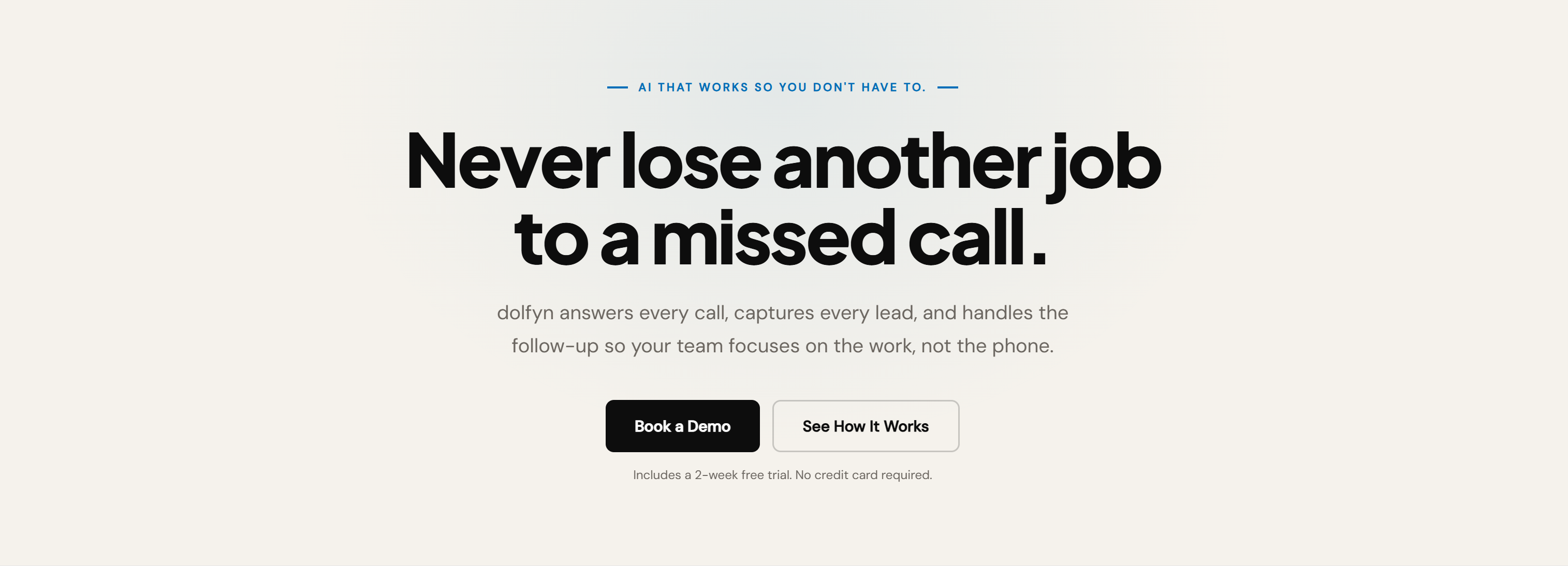 Dolfyn — AI Voice Agents gallery image