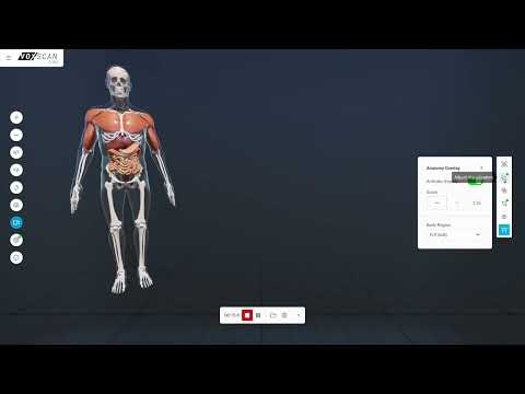 VoxScan Imaging - by Artemis Immersive gallery image