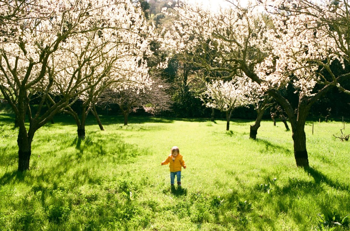 The Darkroom Photo Lab gallery image
