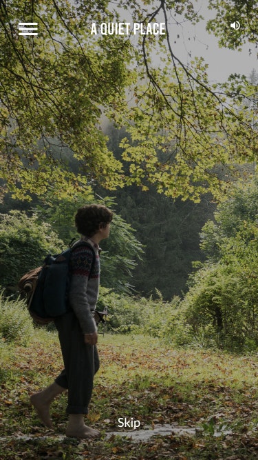 A Quiet Place Detector gallery image